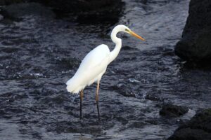 Read more about the article 제주도 가을 여행 코스, 놓치면 후회할 명소 추천