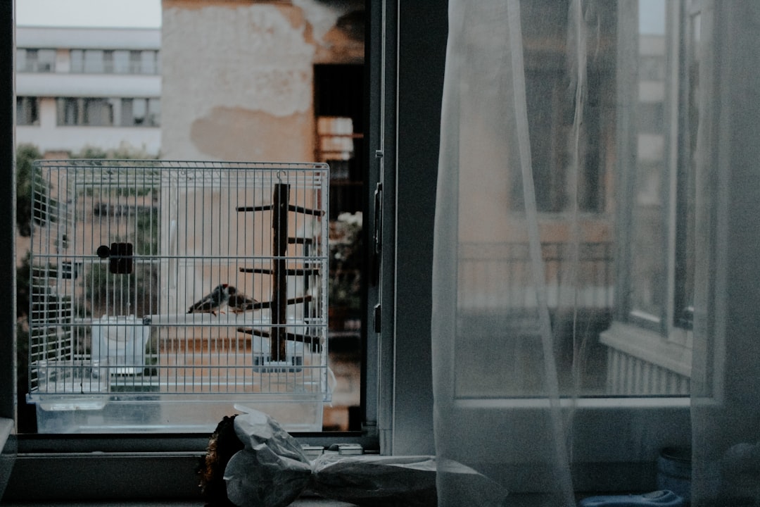 You are currently viewing 평택 프레인시티 수자인: 놓치면 후회할 완벽 분석!