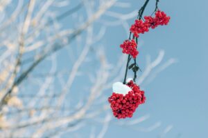 Read more about the article 클러스터용인경남아너스빌모델하우스, 꼭 가봐야 할 이유